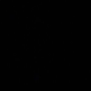 Meet your Posher, Layla